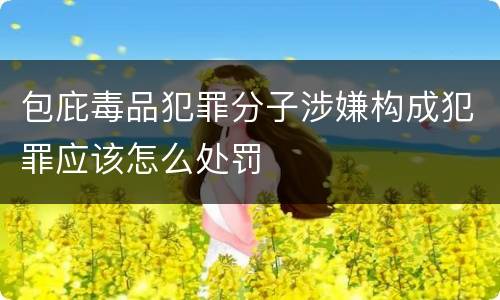 包庇毒品犯罪分子涉嫌构成犯罪应该怎么处罚