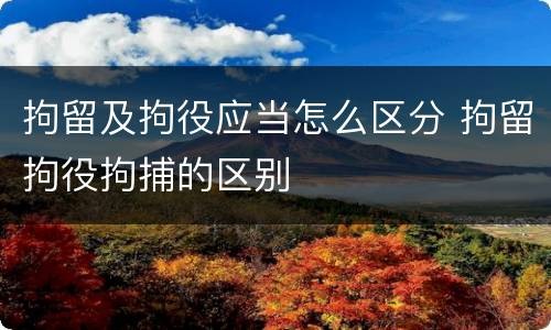 拘留及拘役应当怎么区分 拘留拘役拘捕的区别