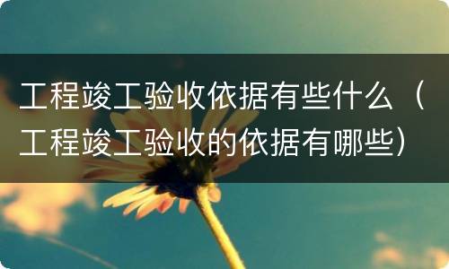 工程竣工验收依据有些什么（工程竣工验收的依据有哪些）