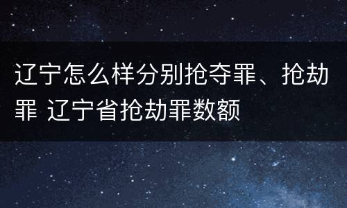 辽宁怎么样分别抢夺罪、抢劫罪 辽宁省抢劫罪数额