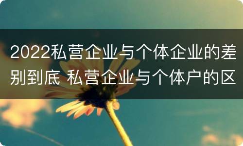 2022私营企业与个体企业的差别到底 私营企业与个体户的区别