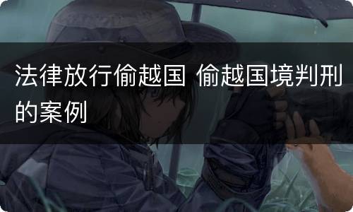 法律放行偷越国 偷越国境判刑的案例