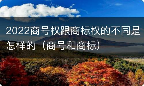2022商号权跟商标权的不同是怎样的（商号和商标）