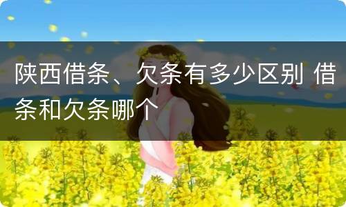 陕西借条、欠条有多少区别 借条和欠条哪个