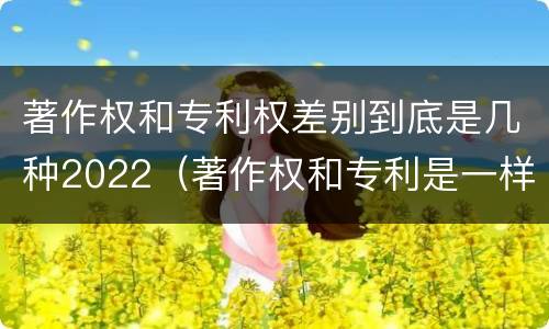 著作权和专利权差别到底是几种2022（著作权和专利是一样的吗）