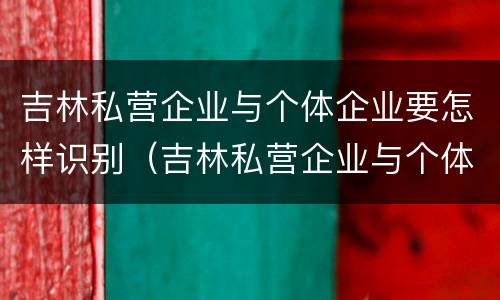 吉林私营企业与个体企业要怎样识别（吉林私营企业与个体企业要怎样识别关系）