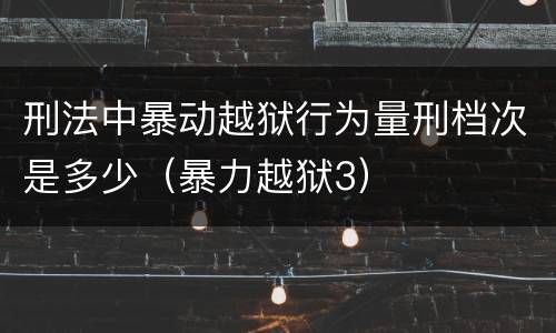 刑法中暴动越狱行为量刑档次是多少（暴力越狱3）