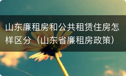 山东廉租房和公共租赁住房怎样区分（山东省廉租房政策）