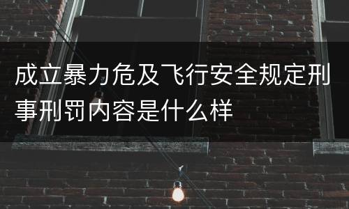 成立暴力危及飞行安全规定刑事刑罚内容是什么样