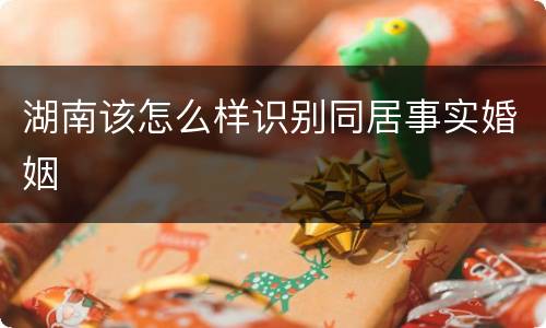 湖南该怎么样识别同居事实婚姻
