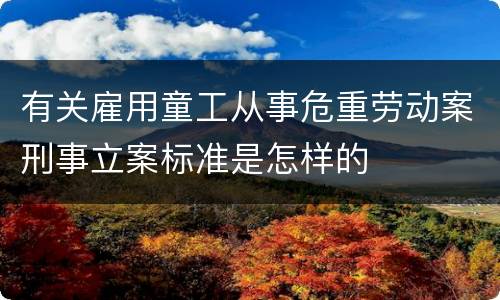 有关雇用童工从事危重劳动案刑事立案标准是怎样的