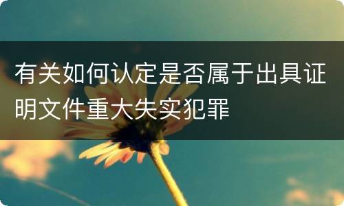 有关如何认定是否属于出具证明文件重大失实犯罪