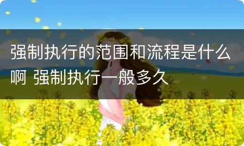 强制执行的范围和流程是什么啊 强制执行一般多久