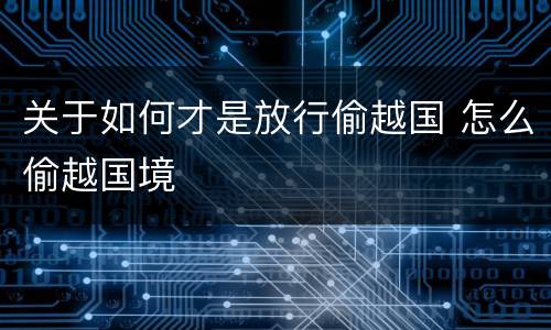 关于如何才是放行偷越国 怎么偷越国境