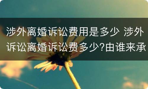 涉外离婚诉讼费用是多少 涉外诉讼离婚诉讼费多少?由谁来承担?
