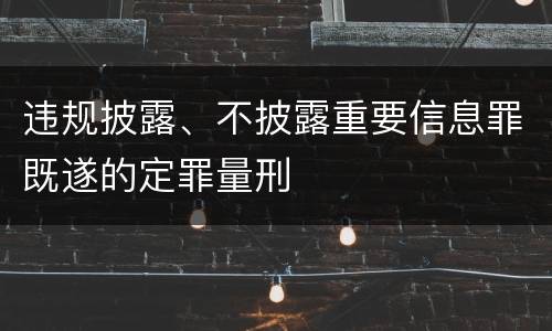违规披露、不披露重要信息罪既遂的定罪量刑