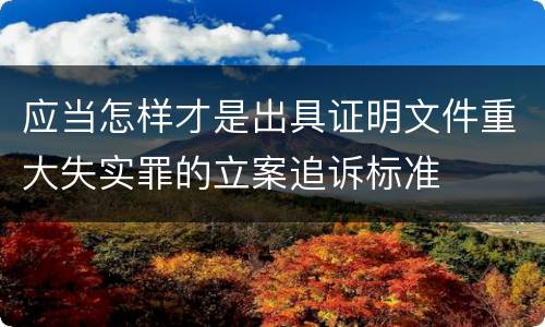 应当怎样才是出具证明文件重大失实罪的立案追诉标准