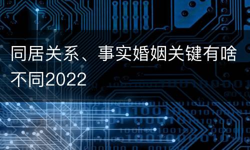 同居关系、事实婚姻关键有啥不同2022