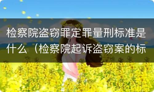 检察院盗窃罪定罪量刑标准是什么（检察院起诉盗窃案的标准）