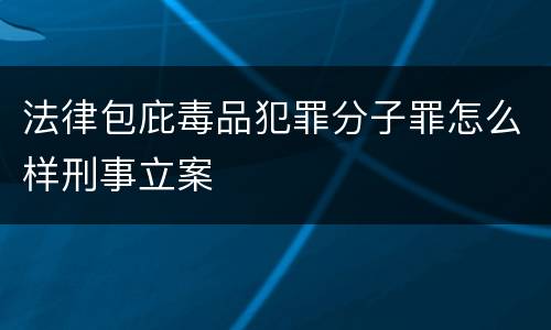 法律包庇毒品犯罪分子罪怎么样刑事立案