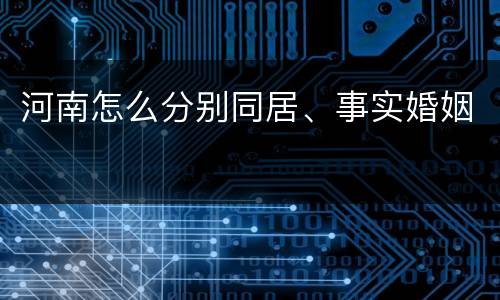 河南怎么分别同居、事实婚姻