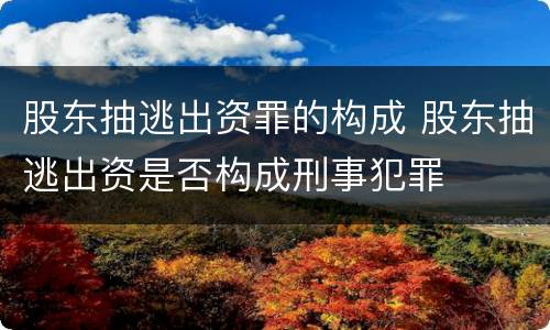 股东抽逃出资罪的构成 股东抽逃出资是否构成刑事犯罪