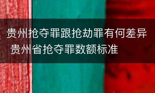 贵州抢夺罪跟抢劫罪有何差异 贵州省抢夺罪数额标准