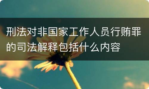 刑法对非国家工作人员行贿罪的司法解释包括什么内容