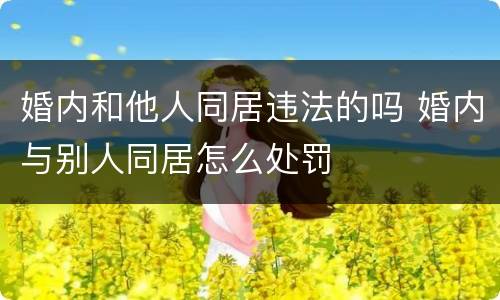 婚内和他人同居违法的吗 婚内与别人同居怎么处罚