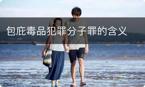 包庇毒品犯罪分子罪的含义