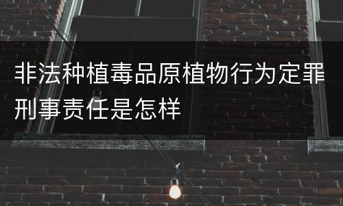 非法种植毒品原植物行为定罪刑事责任是怎样