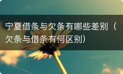 宁夏借条与欠条有哪些差别（欠条与借条有何区别）