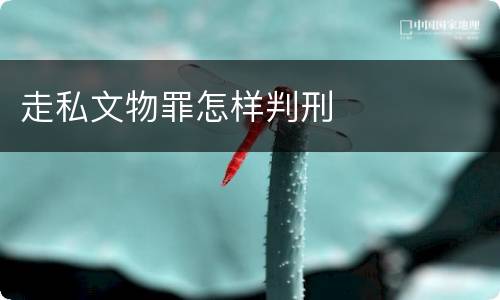 走私文物罪怎样判刑