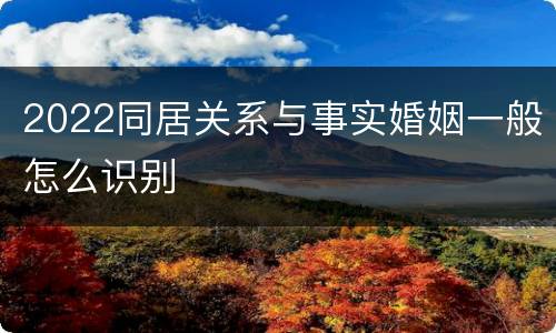 2022同居关系与事实婚姻一般怎么识别
