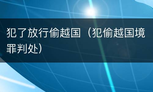 犯了放行偷越国（犯偷越国境罪判处）
