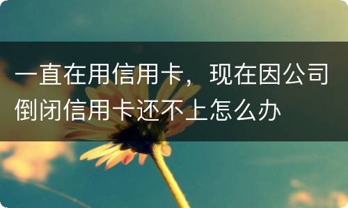 一直在用信用卡，现在因公司倒闭信用卡还不上怎么办