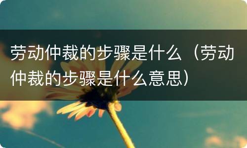 劳动仲裁的步骤是什么（劳动仲裁的步骤是什么意思）