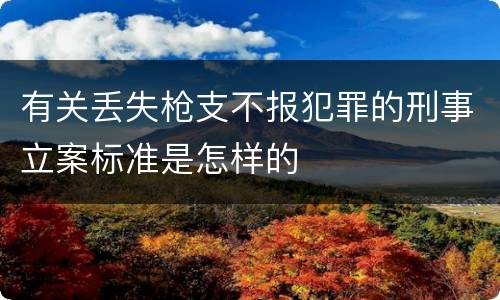 有关丢失枪支不报犯罪的刑事立案标准是怎样的