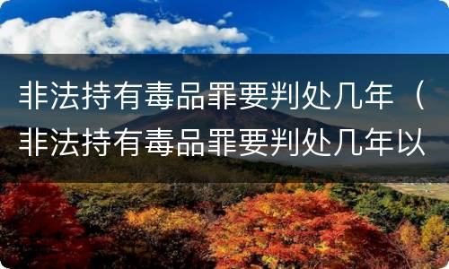 非法持有毒品罪要判处几年（非法持有毒品罪要判处几年以上）