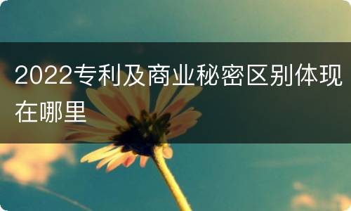 2022专利及商业秘密区别体现在哪里