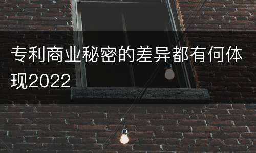 专利商业秘密的差异都有何体现2022
