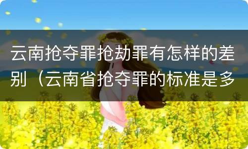 云南抢夺罪抢劫罪有怎样的差别（云南省抢夺罪的标准是多少?）