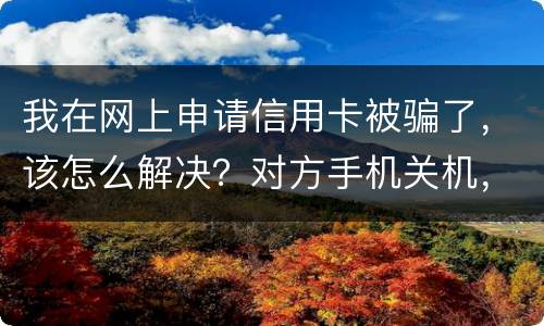 我在网上申请信用卡被骗了，该怎么解决？对方手机关机，但是有汇款账号