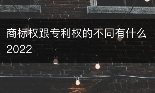 商标权跟专利权的不同有什么2022