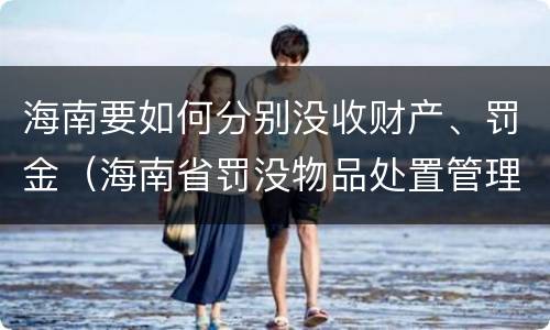 海南要如何分别没收财产、罚金（海南省罚没物品处置管理办法）