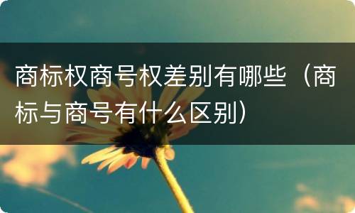 商标权商号权差别有哪些（商标与商号有什么区别）