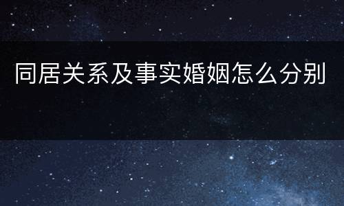 同居关系及事实婚姻怎么分别