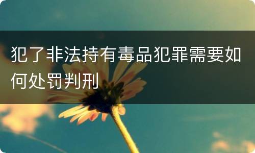 犯了非法持有毒品犯罪需要如何处罚判刑