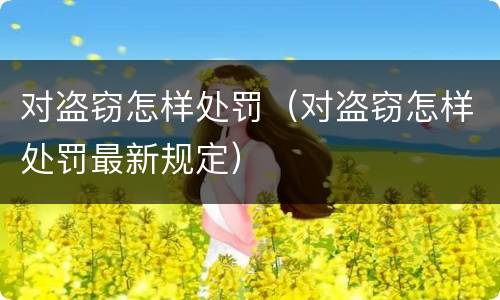 对盗窃怎样处罚（对盗窃怎样处罚最新规定）