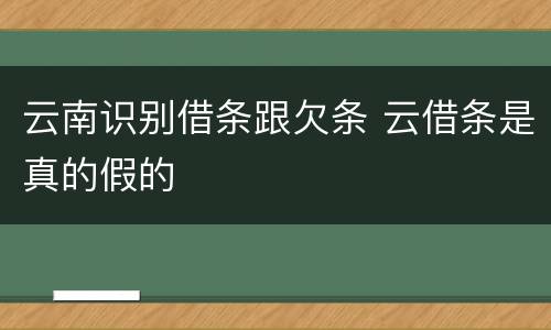 云南识别借条跟欠条 云借条是真的假的